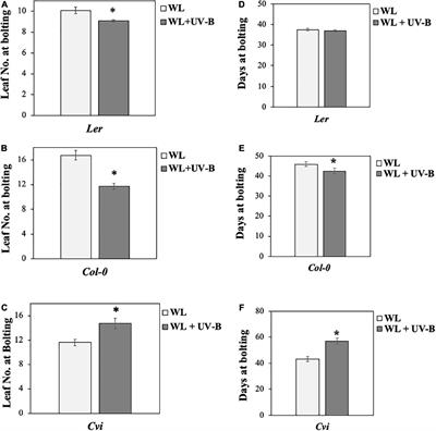 Low Fluence Ultraviolet-B Promotes Ultraviolet Resistance 8-Modulated Flowering in Arabidopsis